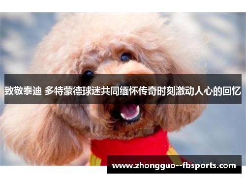 致敬泰迪 多特蒙德球迷共同缅怀传奇时刻激动人心的回忆