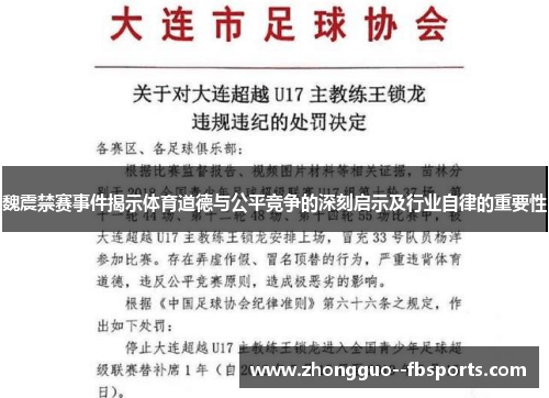 魏震禁赛事件揭示体育道德与公平竞争的深刻启示及行业自律的重要性