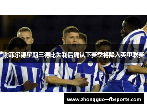 谢菲尔德星期三德比失利后确认下赛季将降入英甲联赛